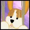 Webkinz