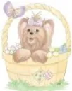 cute puppy