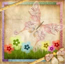 Nature Butterfly