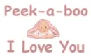 peek-a-boo I love you pink girl