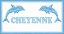 Cheyenne Dolphin