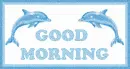 Good Morning Dolphin