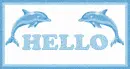 Hello Dolphin