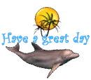 have a great day dolphin