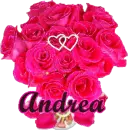 Andrea (Roses)