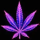 pot leaf [legalize it]