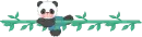 panda