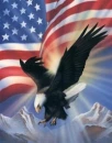 American Pride
