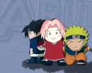 Team 7