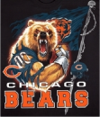 The Bears