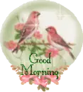 Good Morning