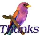 bird with thanks