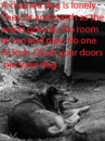 animal abuse