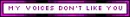 My Voices Dont Like You