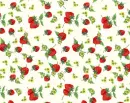 strawberrys  - frutillas