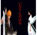 ichiruki (bleach)