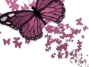 pink butterflies