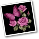 roses and butterflies