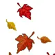 leaves