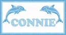 Connie Dolphin