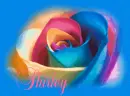 Shirley