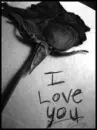 lovex