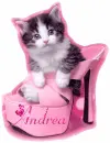 Andrea kitten in  pink shoe