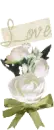white rose