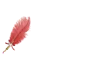 Aletha - Feather Pen Red