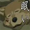 toboe wolf
