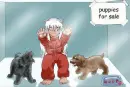 InuYasha