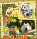 Dogs -Have a great weekend