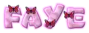 Butterfly Changing Color - Faye