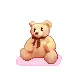 cute bear