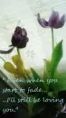 ...I'll still be loving you