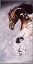Avalanche