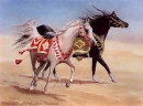 The Desert Race