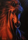 Fire & Ice