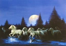 Moonlight
