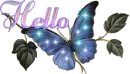 Hello