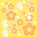 Yellow and Orange Flowers