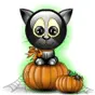 Halloween Cat
