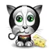 Cat eating