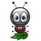 Lady Bug