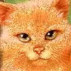 Fireheart