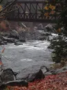 river in the winter