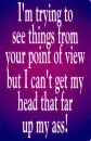 your point of view