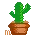 kawaii mini cactus