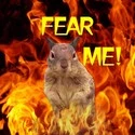 Evil Squirrel
