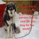 animal abuse